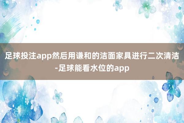 足球投注app然后用谦和的洁面家具进行二次清洁-足球能看水位的app