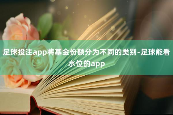 足球投注app将基金份额分为不同的类别-足球能看水位的app