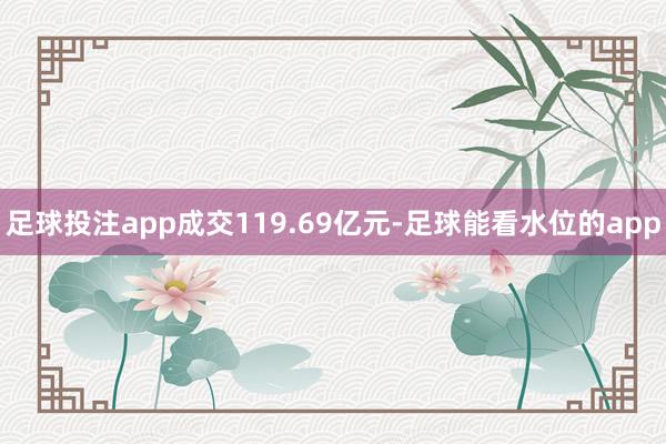 足球投注app成交119.69亿元-足球能看水位的app