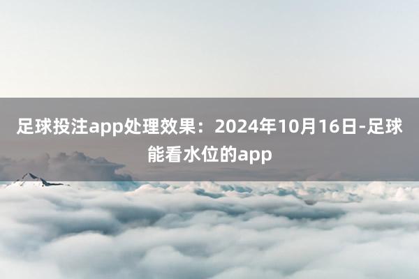 足球投注app处理效果：2024年10月16日-足球能看水位的app