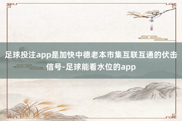 足球投注app是加快中德老本市集互联互通的伏击信号-足球能看水位的app