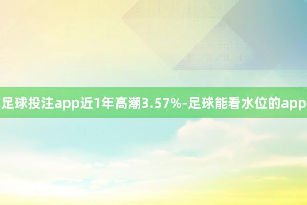 足球投注app近1年高潮3.57%-足球能看水位的app