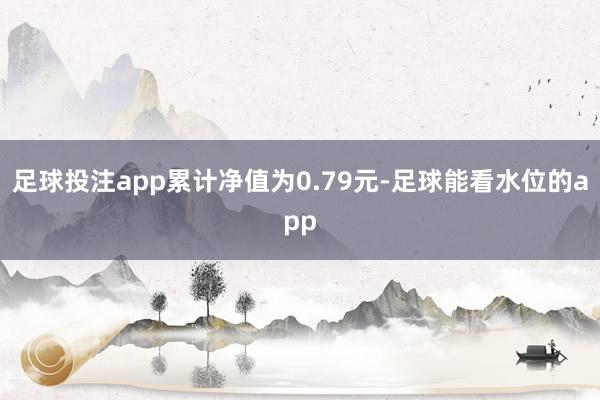 足球投注app累计净值为0.79元-足球能看水位的app