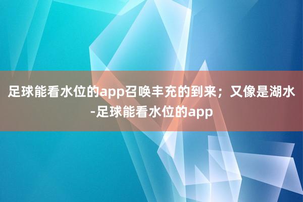 足球能看水位的app召唤丰充的到来；又像是湖水-足球能看水位的app