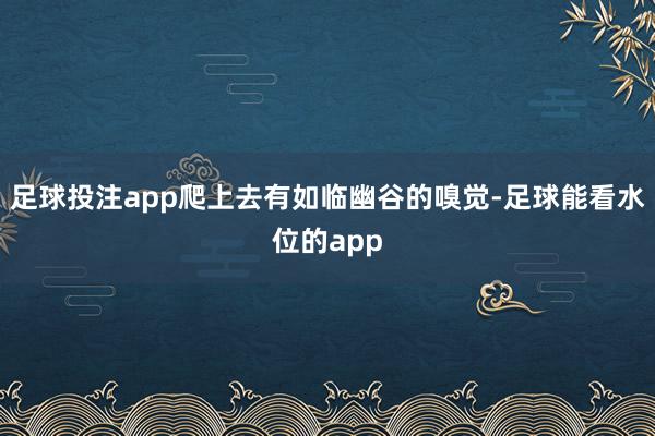 足球投注app爬上去有如临幽谷的嗅觉-足球能看水位的app