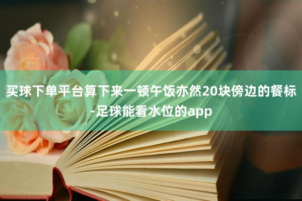 买球下单平台算下来一顿午饭亦然20块傍边的餐标-足球能看水位的app