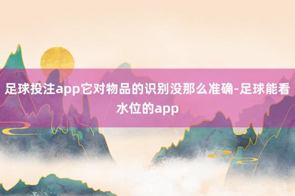 足球投注app它对物品的识别没那么准确-足球能看水位的app