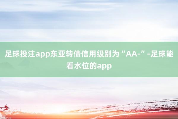 足球投注app东亚转债信用级别为“AA-”-足球能看水位的app