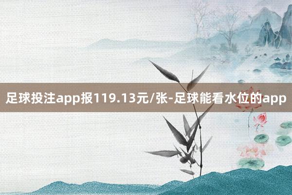 足球投注app报119.13元/张-足球能看水位的app