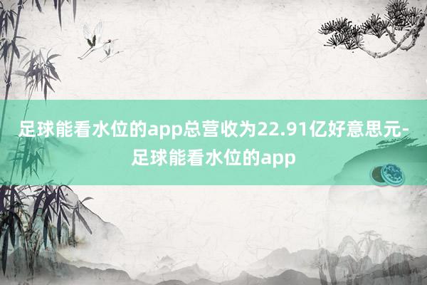 足球能看水位的app总营收为22.91亿好意思元-足球能看水位的app