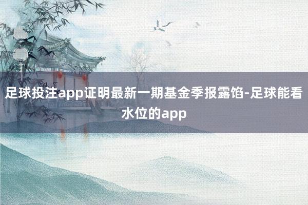 足球投注app证明最新一期基金季报露馅-足球能看水位的app