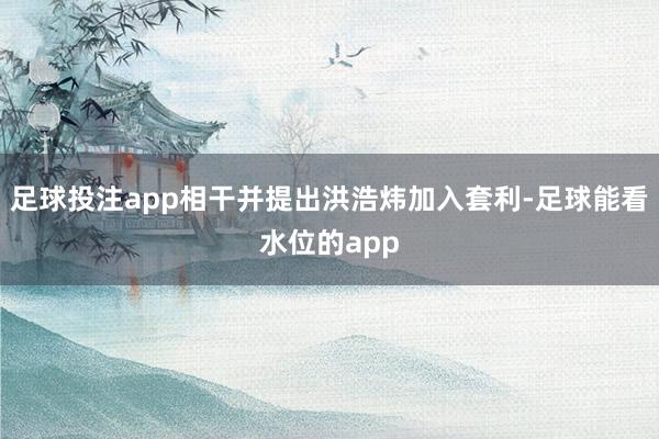 足球投注app相干并提出洪浩炜加入套利-足球能看水位的app