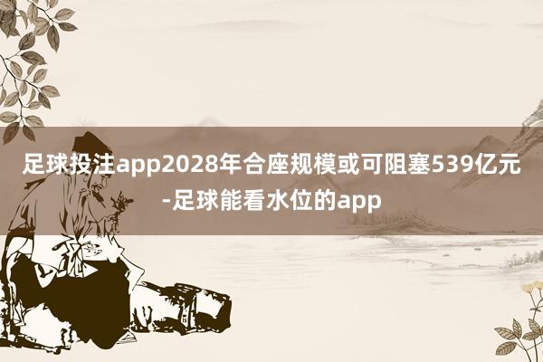 足球投注app2028年合座规模或可阻塞539亿元-足球能看水位的app