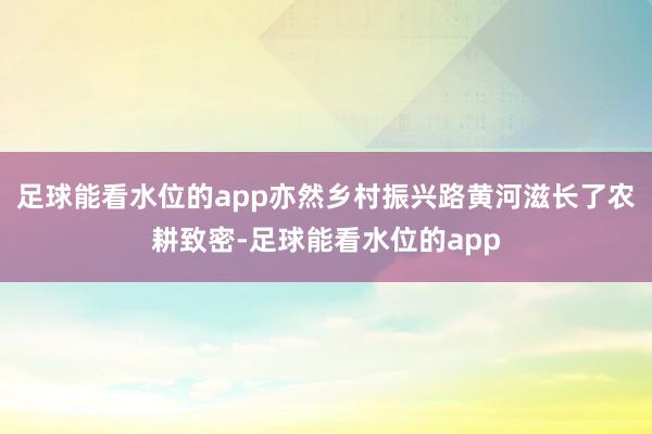 足球能看水位的app亦然乡村振兴路黄河滋长了农耕致密-足球能看水位的app