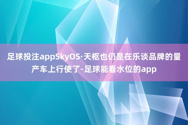 足球投注appSkyOS·天枢也仍是在乐谈品牌的量产车上行使了-足球能看水位的app