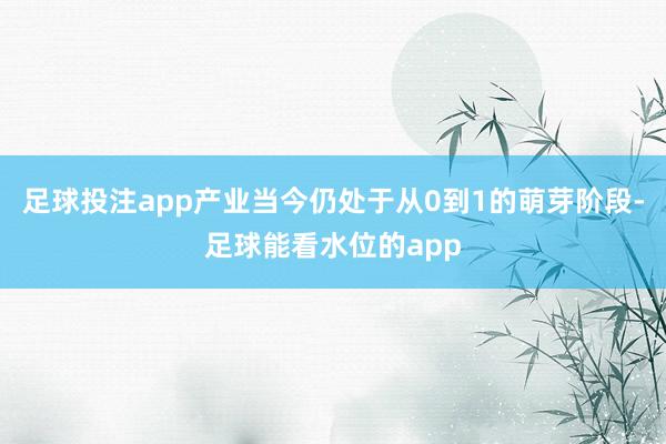 足球投注app产业当今仍处于从0到1的萌芽阶段-足球能看水位的app