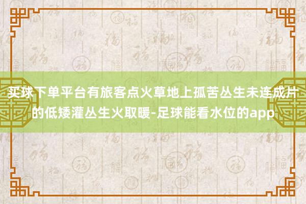 买球下单平台有旅客点火草地上孤苦丛生未连成片的低矮灌丛生火取暖-足球能看水位的app