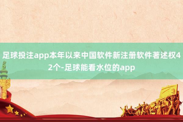 足球投注app本年以来中国软件新注册软件著述权42个-足球能看水位的app