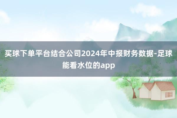 买球下单平台结合公司2024年中报财务数据-足球能看水位的app