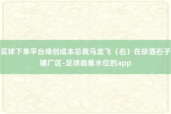 买球下单平台绿创成本总裁马龙飞（右）在珍酒石子铺厂区-足球能看水位的app