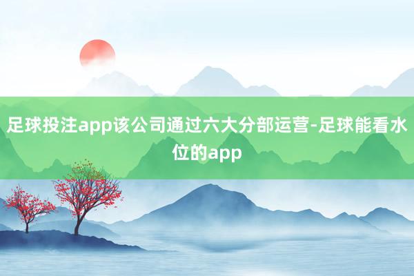 足球投注app该公司通过六大分部运营-足球能看水位的app