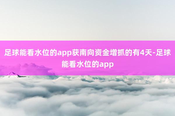 足球能看水位的app获南向资金增抓的有4天-足球能看水位的app