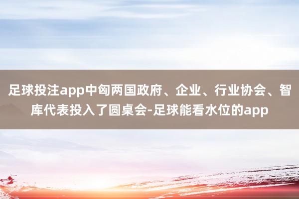 足球投注app中匈两国政府、企业、行业协会、智库代表投入了圆桌会-足球能看水位的app