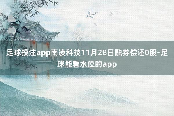 足球投注app南凌科技11月28日融券偿还0股-足球能看水位的app