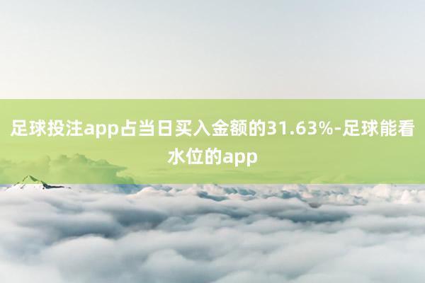 足球投注app占当日买入金额的31.63%-足球能看水位的app