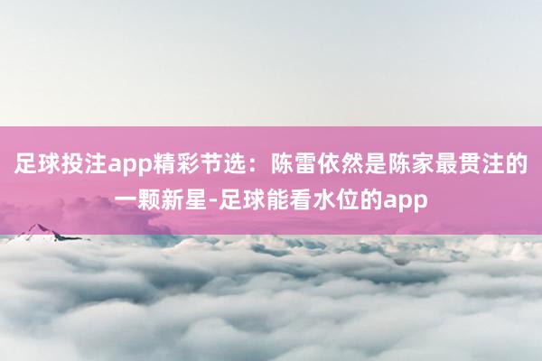 足球投注app精彩节选：陈雷依然是陈家最贯注的一颗新星-足球能看水位的app