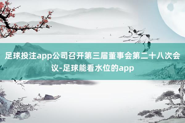 足球投注app公司召开第三届董事会第二十八次会议-足球能看水位的app