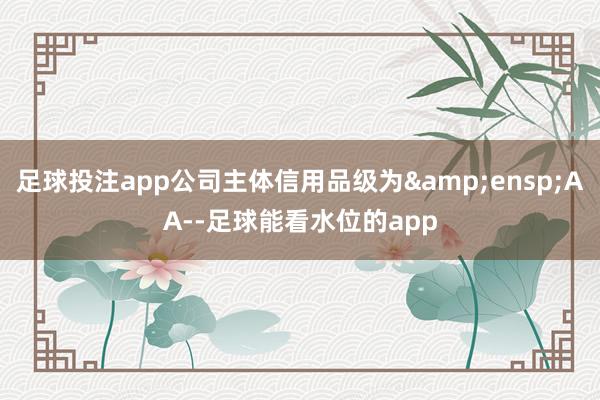 足球投注app公司主体信用品级为&ensp;AA--足球能看水位的app