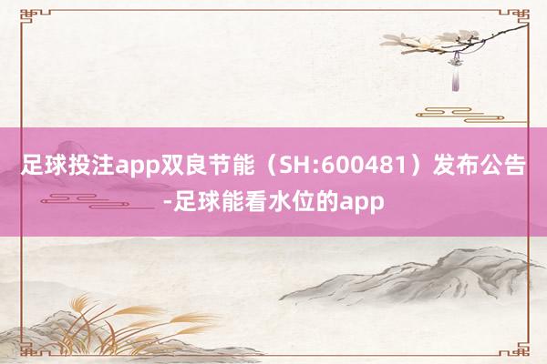 足球投注app双良节能（SH:600481）发布公告-足球能看水位的app