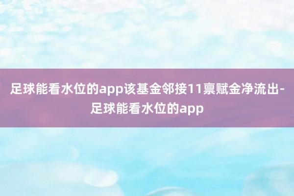 足球能看水位的app该基金邻接11禀赋金净流出-足球能看水位的app