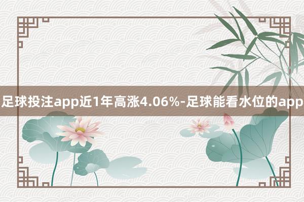 足球投注app近1年高涨4.06%-足球能看水位的app