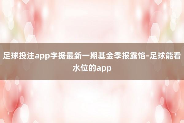 足球投注app字据最新一期基金季报露馅-足球能看水位的app