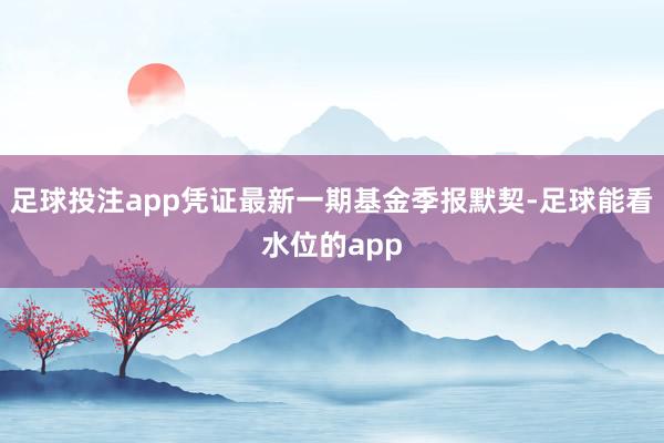 足球投注app凭证最新一期基金季报默契-足球能看水位的app