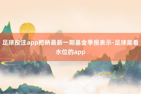 足球投注app把柄最新一期基金季报表示-足球能看水位的app