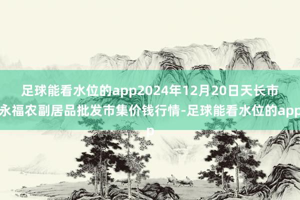 足球能看水位的app2024年12月20日天长市永福农副居品批发市集价钱行情-足球能看水位的app