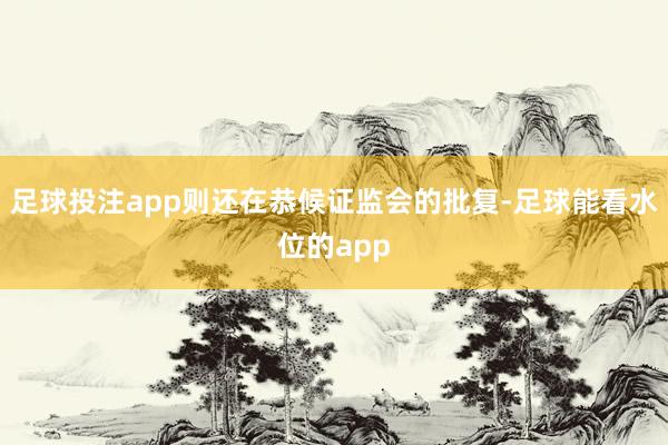 足球投注app则还在恭候证监会的批复-足球能看水位的app