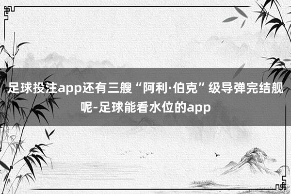 足球投注app还有三艘“阿利·伯克”级导弹完结舰呢-足球能看水位的app