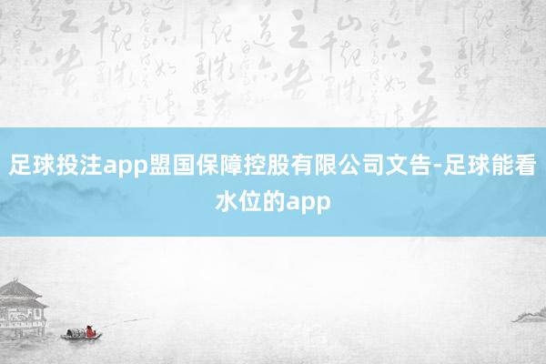 足球投注app盟国保障控股有限公司文告-足球能看水位的app