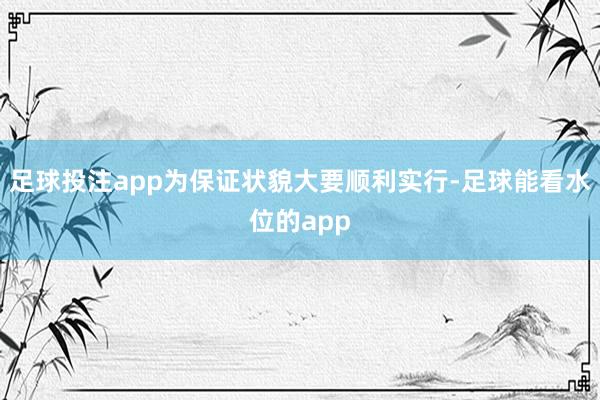 足球投注app为保证状貌大要顺利实行-足球能看水位的app