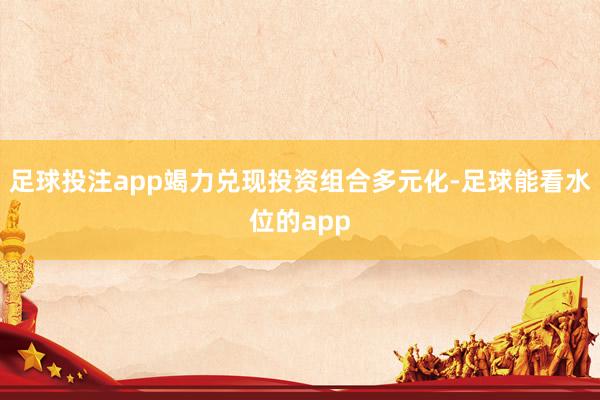 足球投注app竭力兑现投资组合多元化-足球能看水位的app