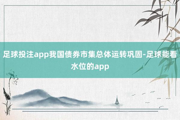 足球投注app我国债券市集总体运转巩固-足球能看水位的app