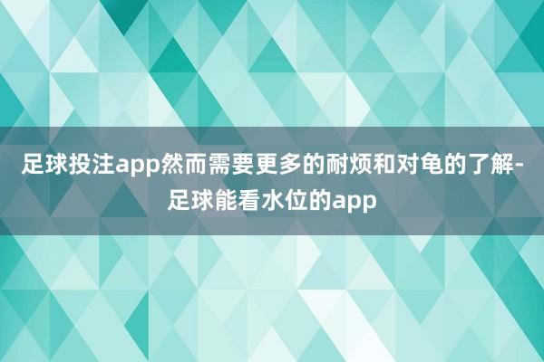 足球投注app然而需要更多的耐烦和对龟的了解-足球能看水位的app