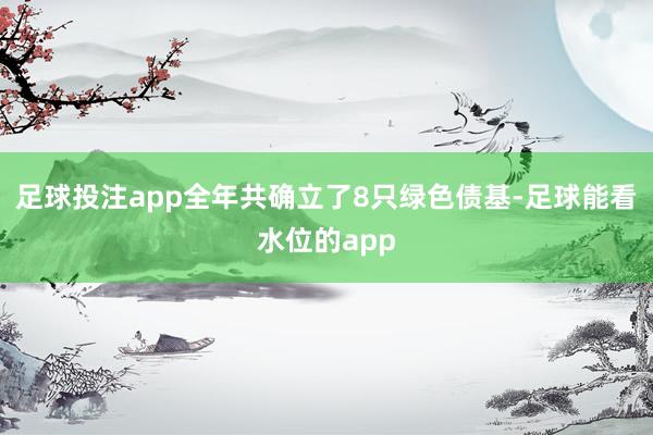 足球投注app全年共确立了8只绿色债基-足球能看水位的app