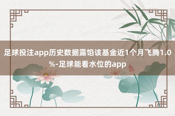 足球投注app历史数据露馅该基金近1个月飞腾1.0%-足球能看水位的app