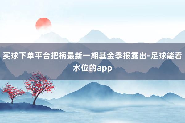 买球下单平台把柄最新一期基金季报露出-足球能看水位的app