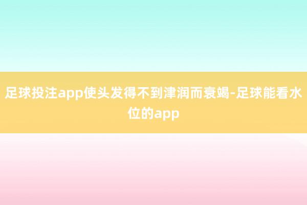 足球投注app使头发得不到津润而衰竭-足球能看水位的app